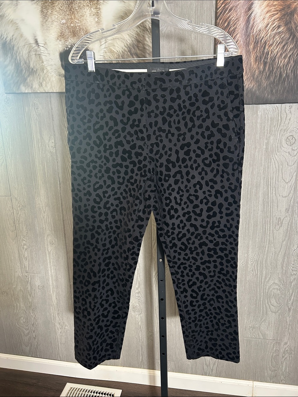 New Ann Taylor Pants